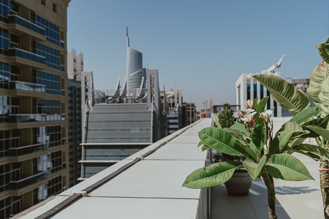 Dubai Short-Term Rental Regulation Updates: Landlord Guide to Compliance and Maximizing Returns in 2026